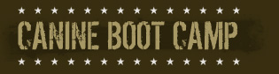 Canine Boot Camp